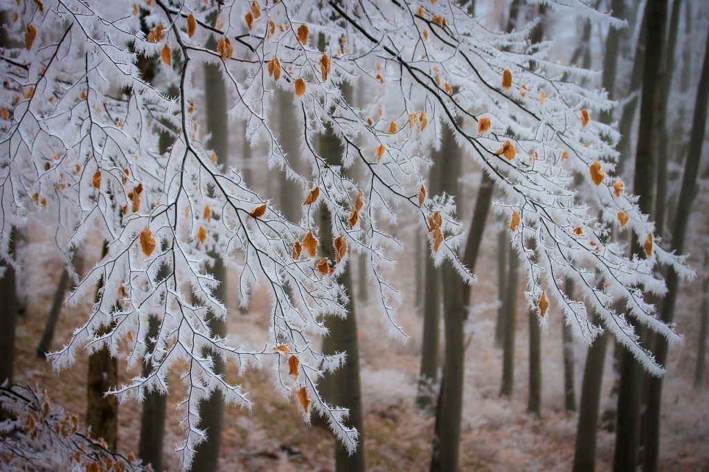 winterize toronto